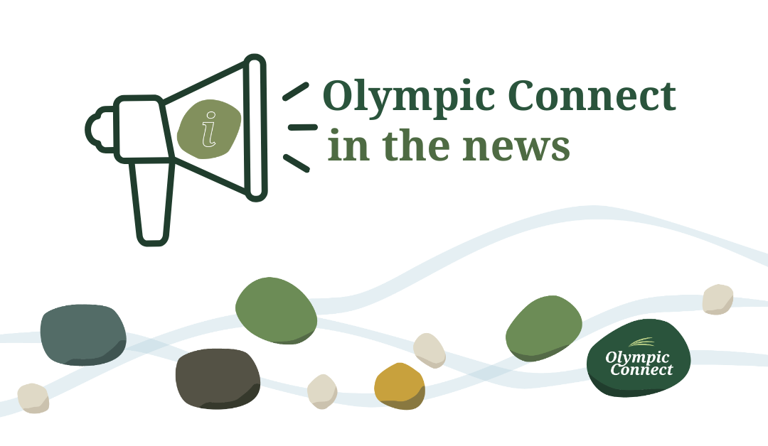 Olympic Connect in the news