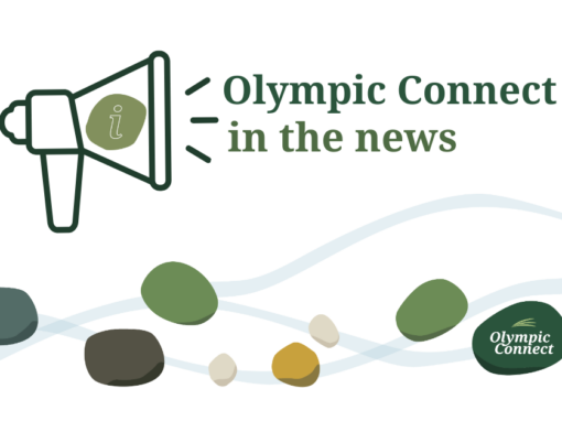 Olympic Connect in the news