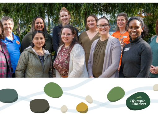 Olympic Connect in action